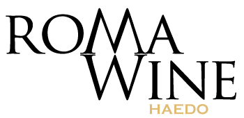 logo-roma-haedo-web logo-roma-haedo-web